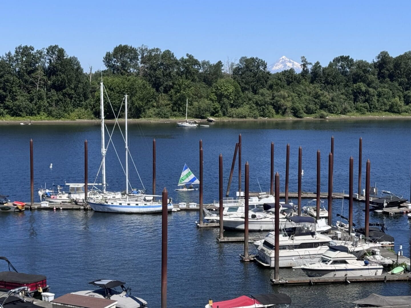 Boats docked at marina with mountain background